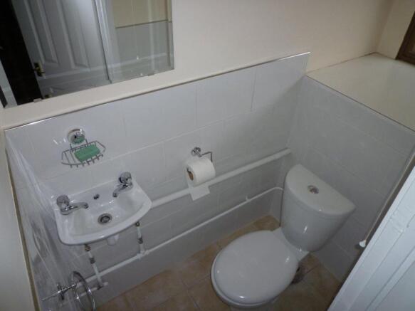DS toilet.jpg
