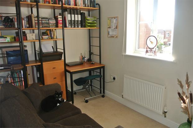 Photo 5