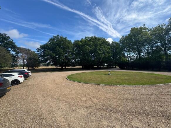 Out  Medium  T202508141727.jpg