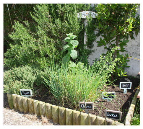 Herb Garden