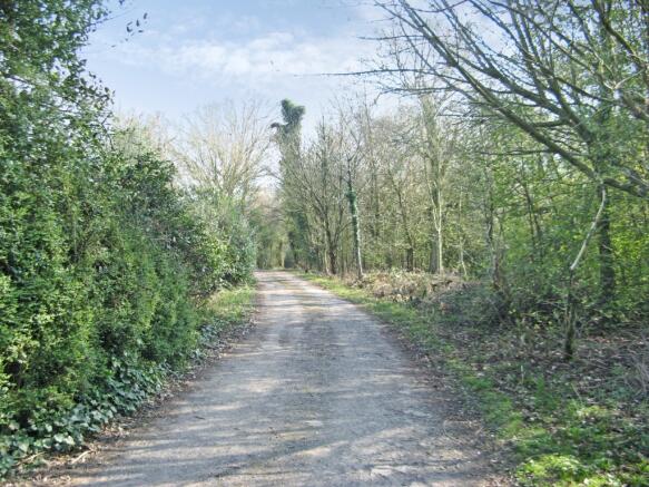 View Along The Lane