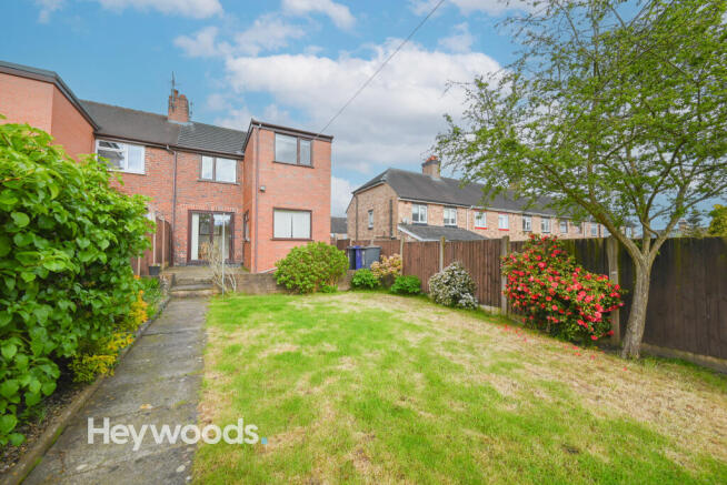 DSC_9919