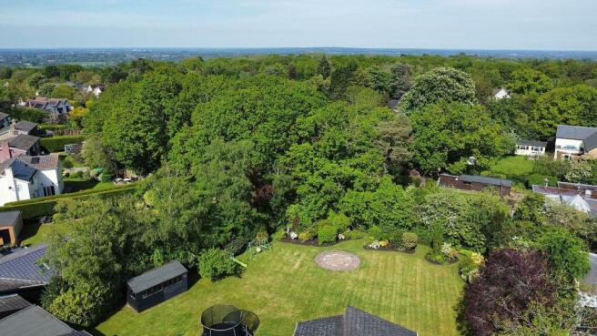 dji_fly_20240510_160514_612_1715353979592_photo_op