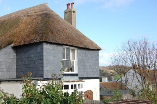 thatch