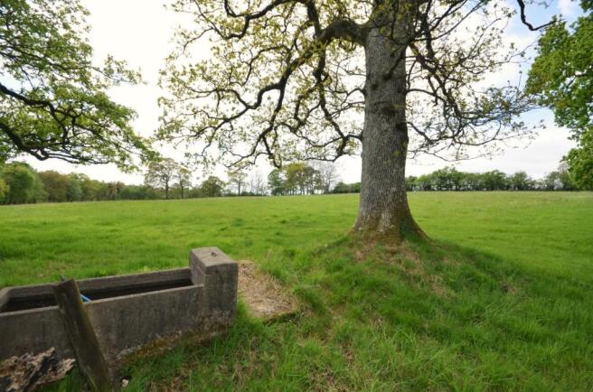 Rackenford, Seddons