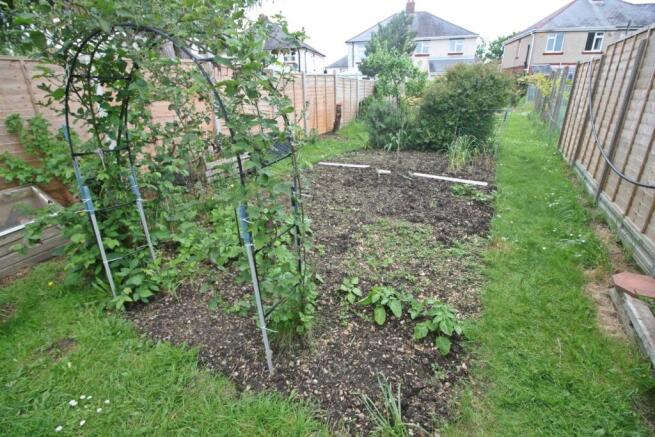 Garden 2.JPG