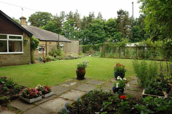 Rear Gardens