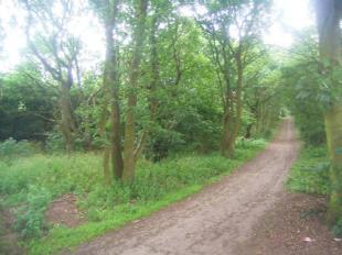 Bestwood Country Par