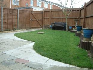 Photo 5
