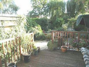 Picture 7