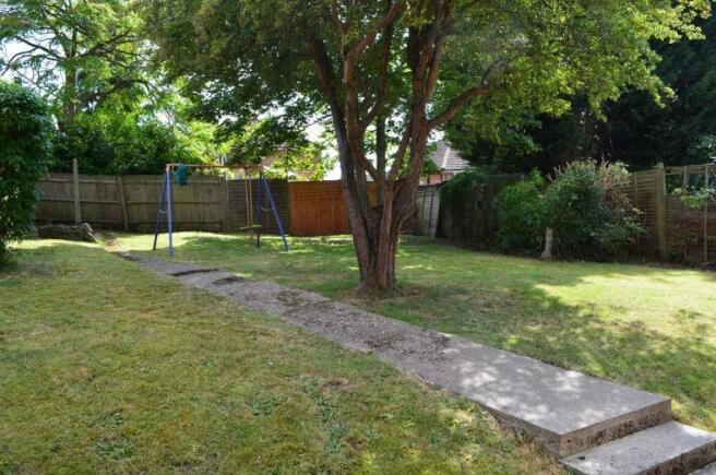 garden 2.jpg