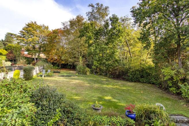 garden3.jpg