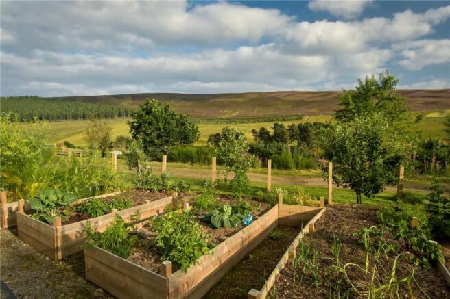 Kitchen Garden