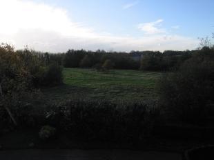 View From Bedroom