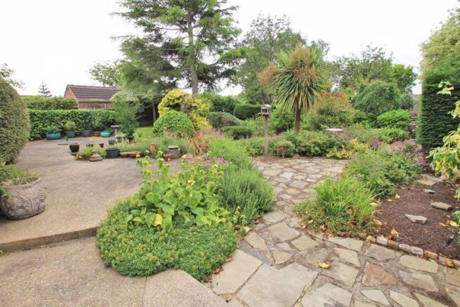 Rear garden