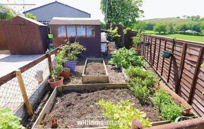 vegetable patch