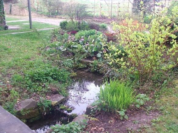 Photo 12