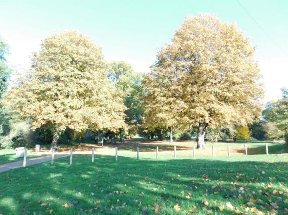 Norton Common
