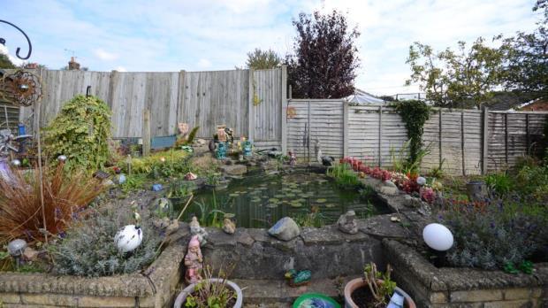 Pond