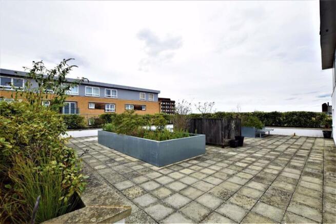 Communal Roof Terrace