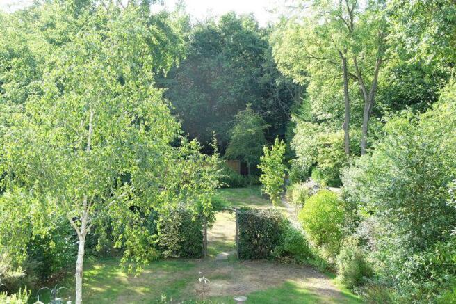 Photo 11