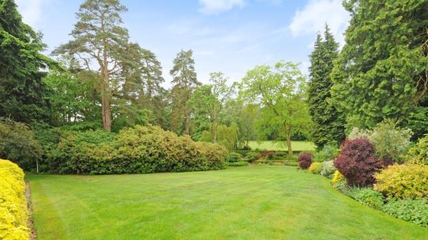 Grounds
