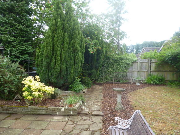 Photo 8