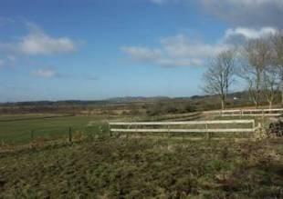 The Land