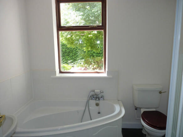 Picture 8