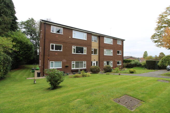 IMG 6956 T202510201208.jpg