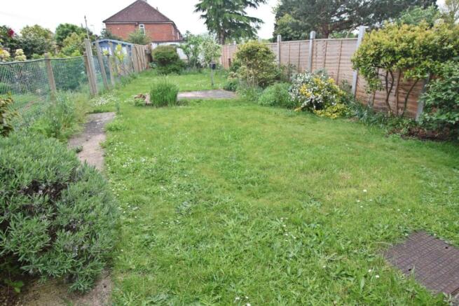 Garden.JPG