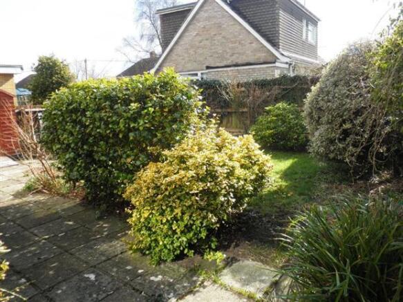 Photo 7