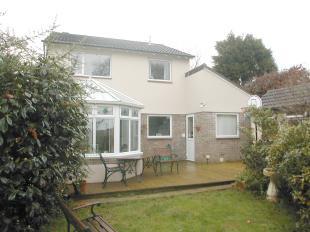 Rear Elevation