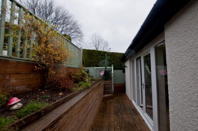 Rear garden (4)