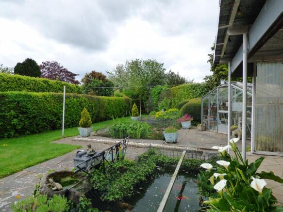 garden