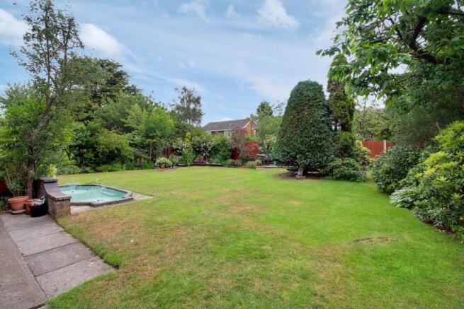 Garden at Back