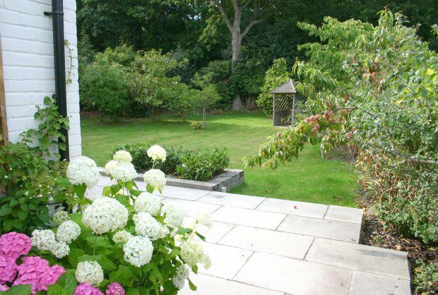 Lovely Outlook Rear