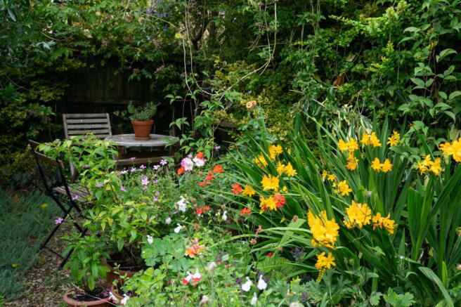 Photo 8