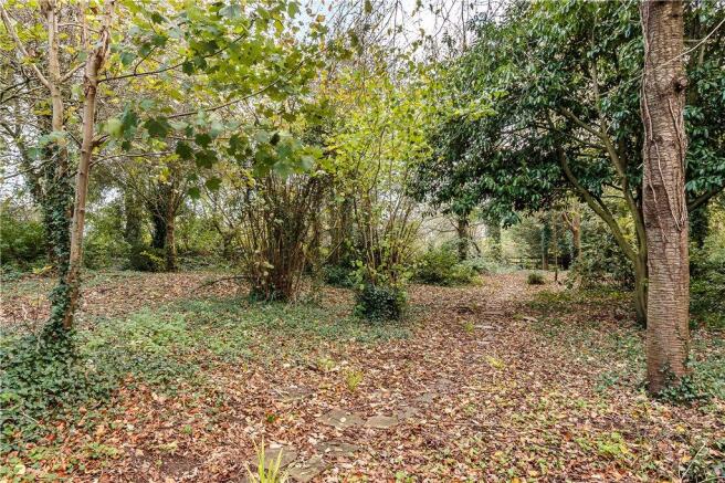 Woodland