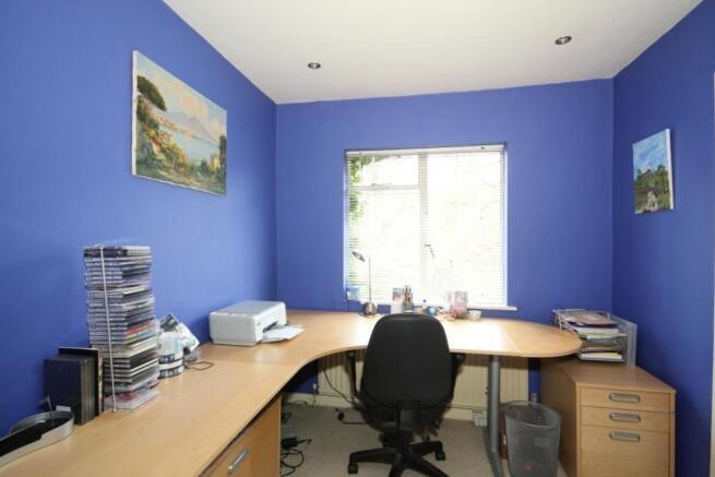 Study Area