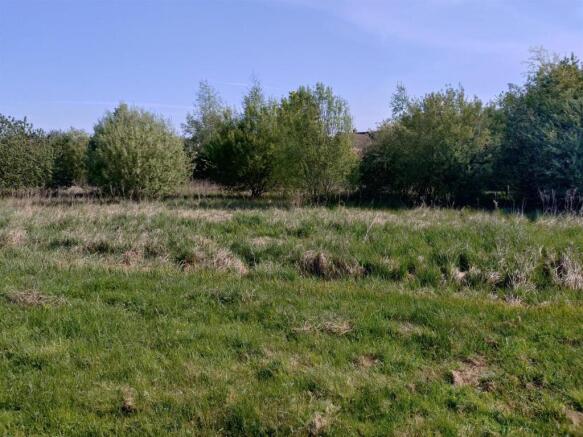 Photo 2.jpg