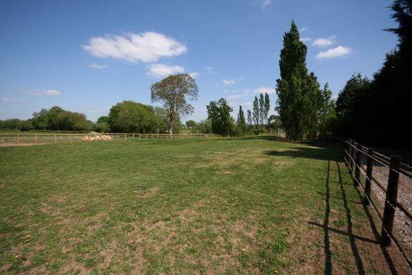 Paddock