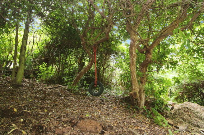 Photo 28