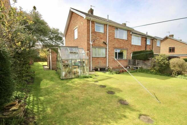 Back Garden