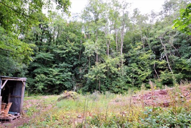 WOODLAND TO REAR
