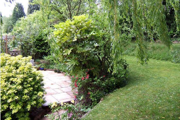 GARDEN IN SUMMER 4