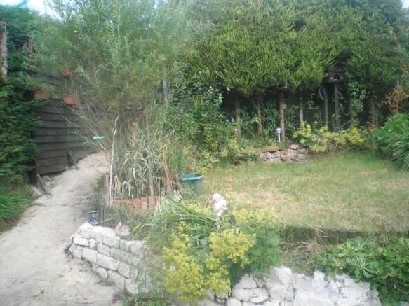 Photo 10