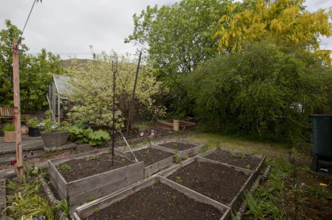 Rear garden (3)