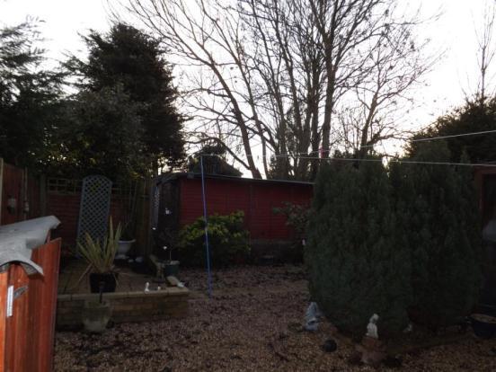 Rear Garden 1