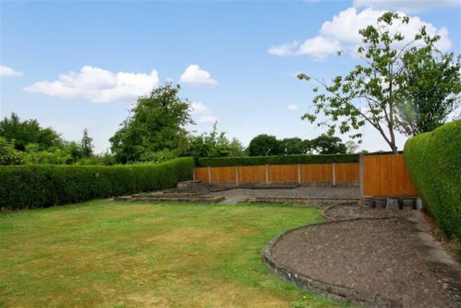 Further Garden Pictures